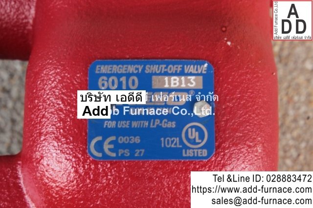 Rego 6010 1B13 Emergency Shut-Off Valve (7)